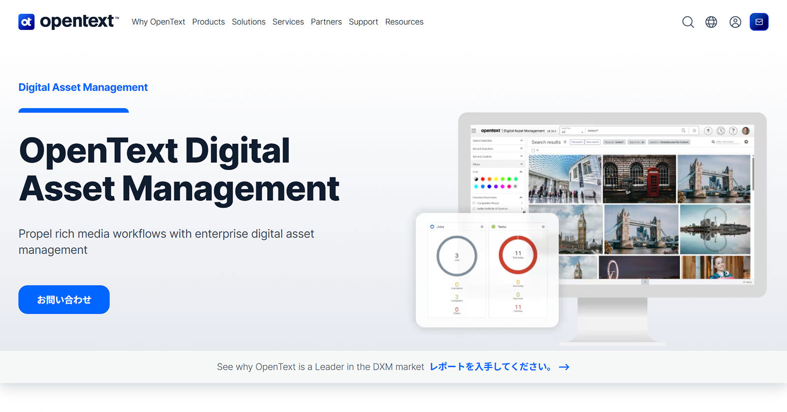 OpenText Digital Asset Management公式Webサイト