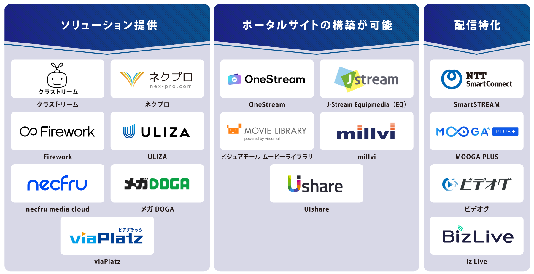 タイプ別 動画配信システム 図解