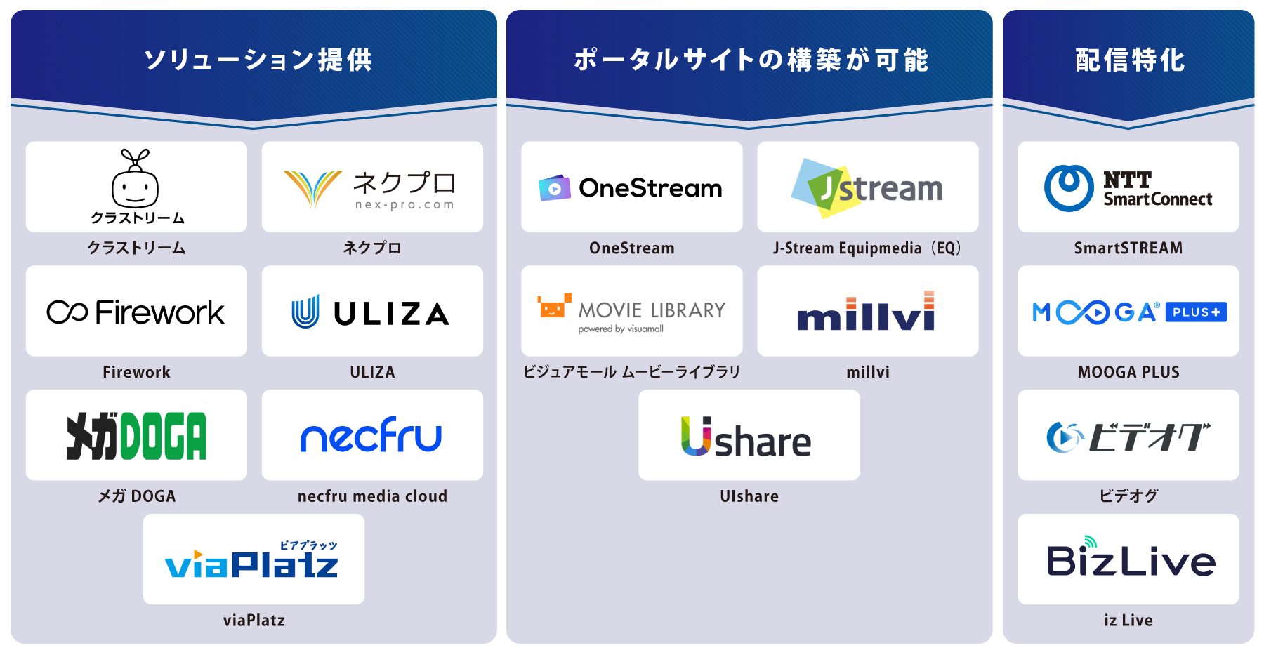 タイプ別 動画配信システム 図解
