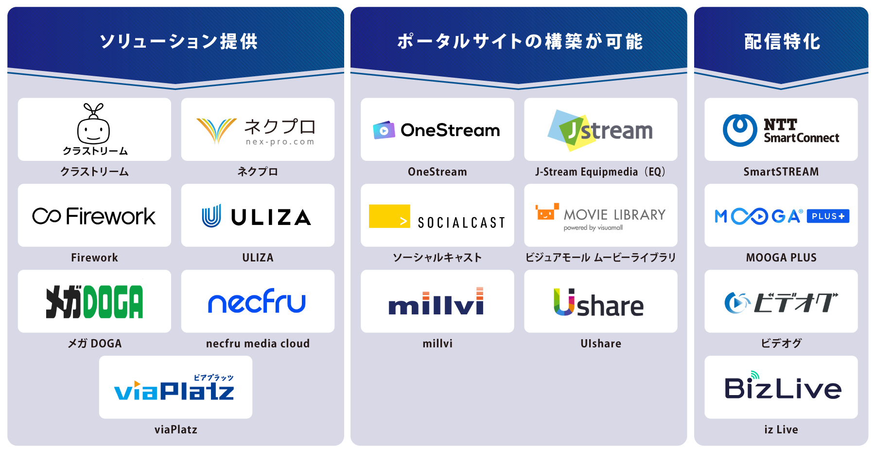 タイプ別 動画配信システム 図解