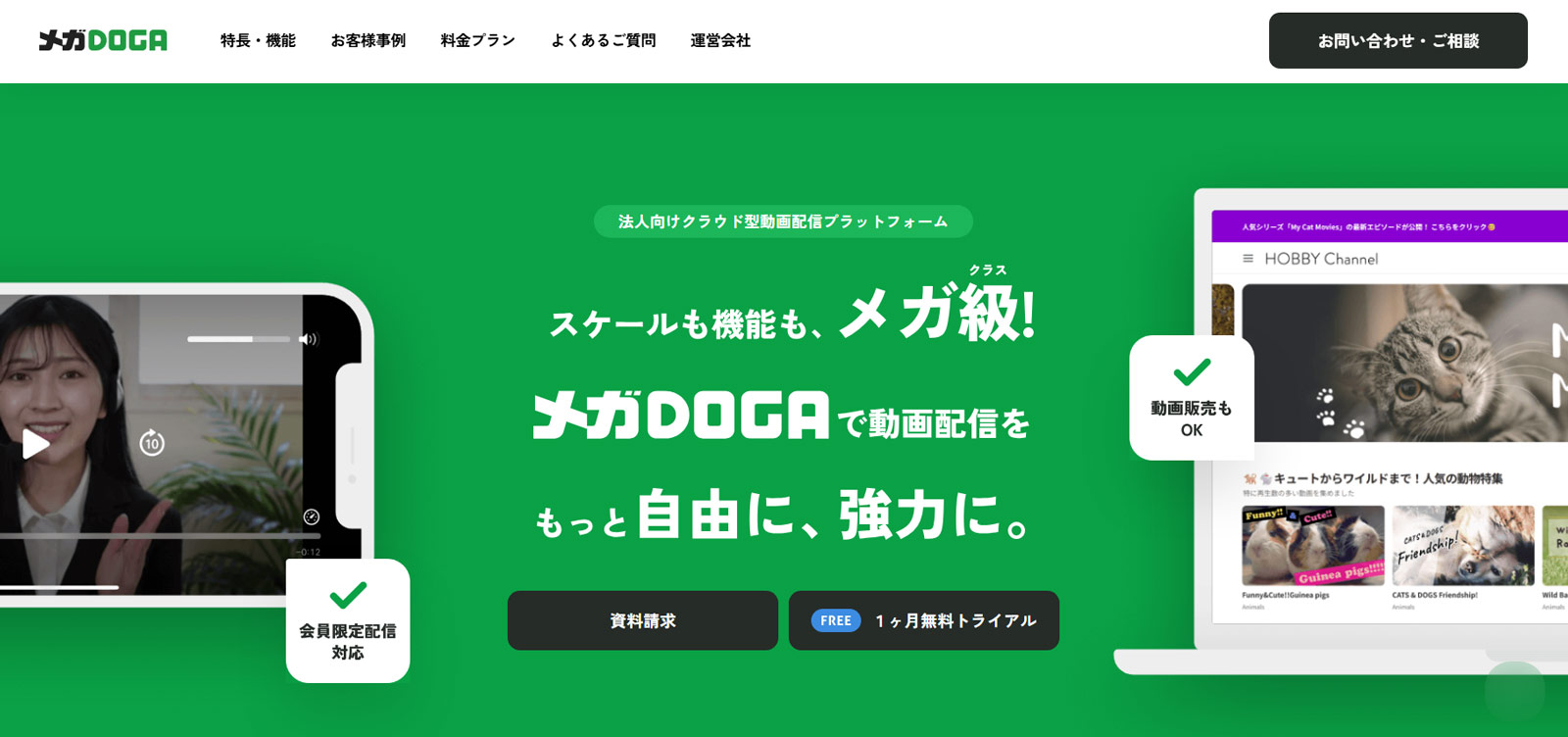メガDOGA公式Webサイト