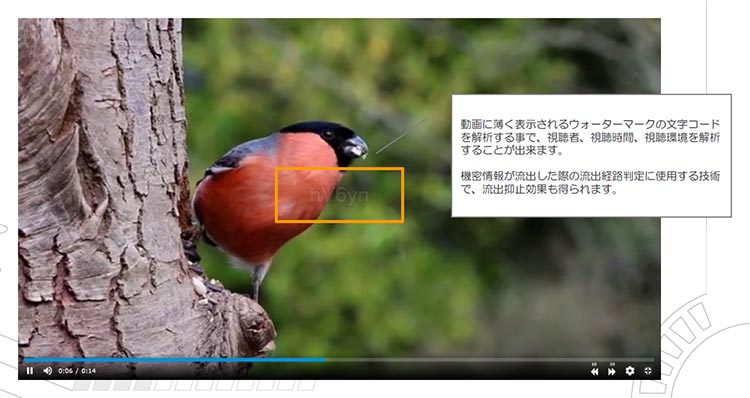 ウォーターマークを動画内に埋め込むことで、情報流出を抑止