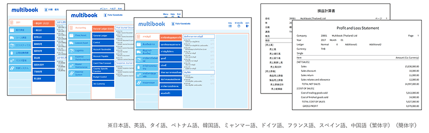 多⾔語・多通貨・複数帳簿