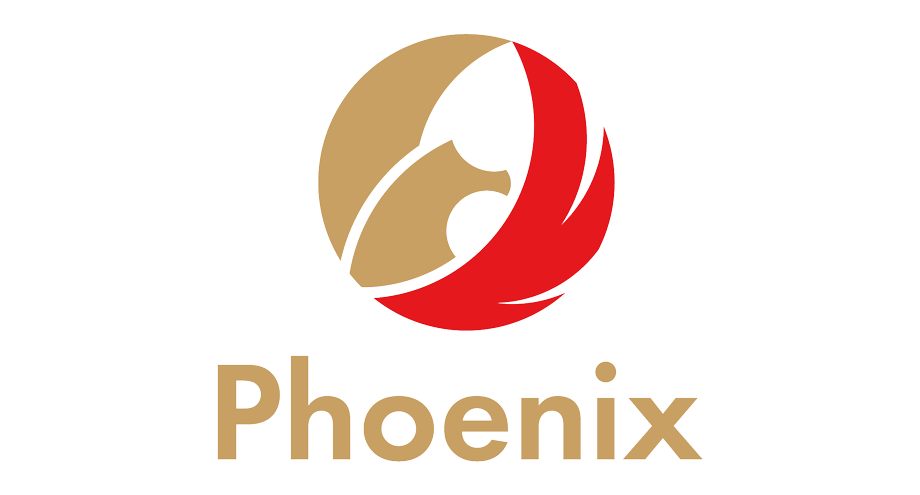 Phoenix Vision / Eye