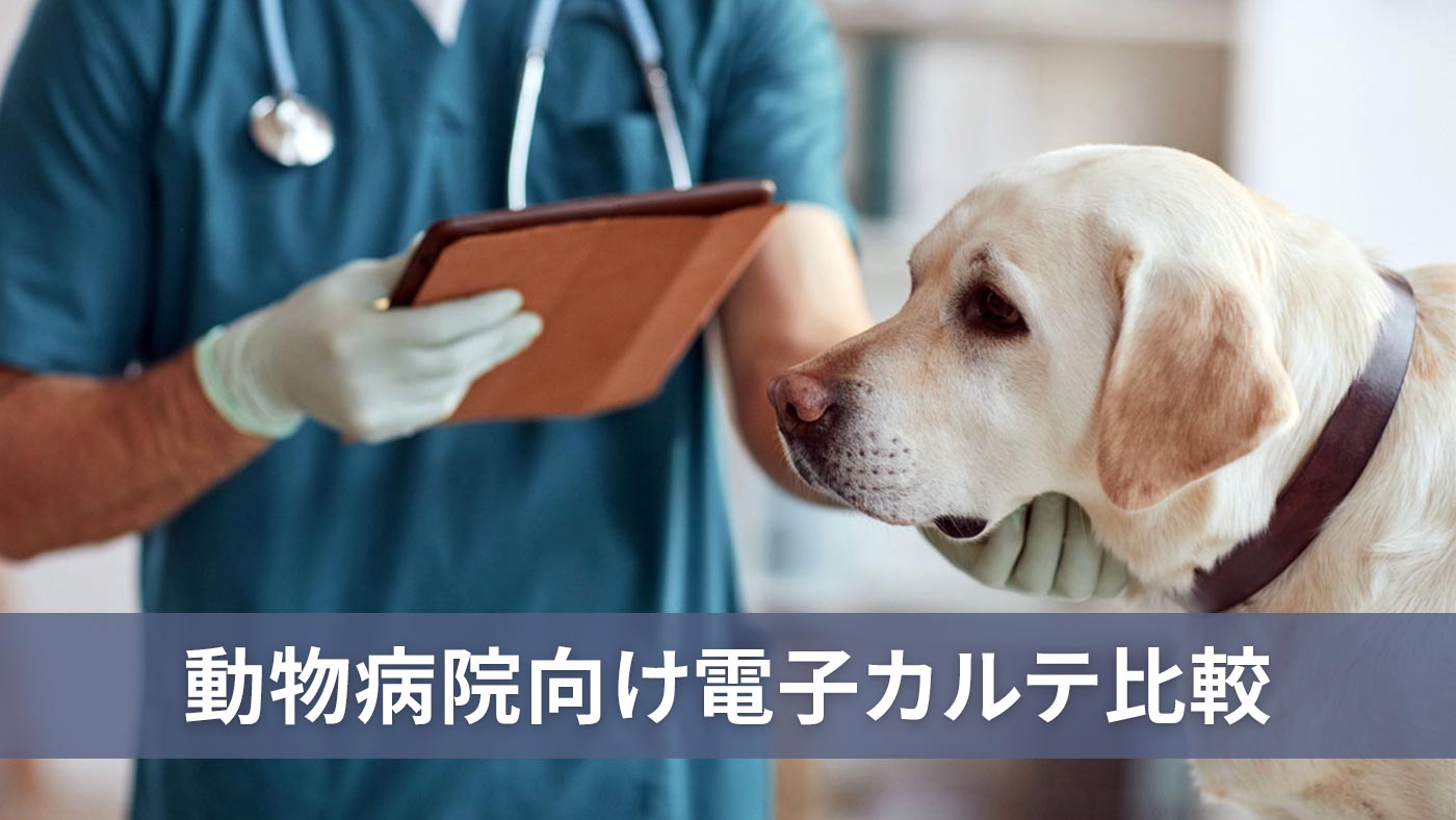 動物病院向け電子カルテ比較