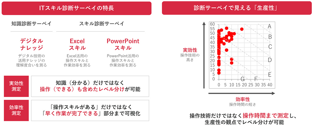 実効性と効率性の両面を測定できる、独自のITスキル診断サーベイ