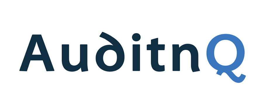 AuditnQ