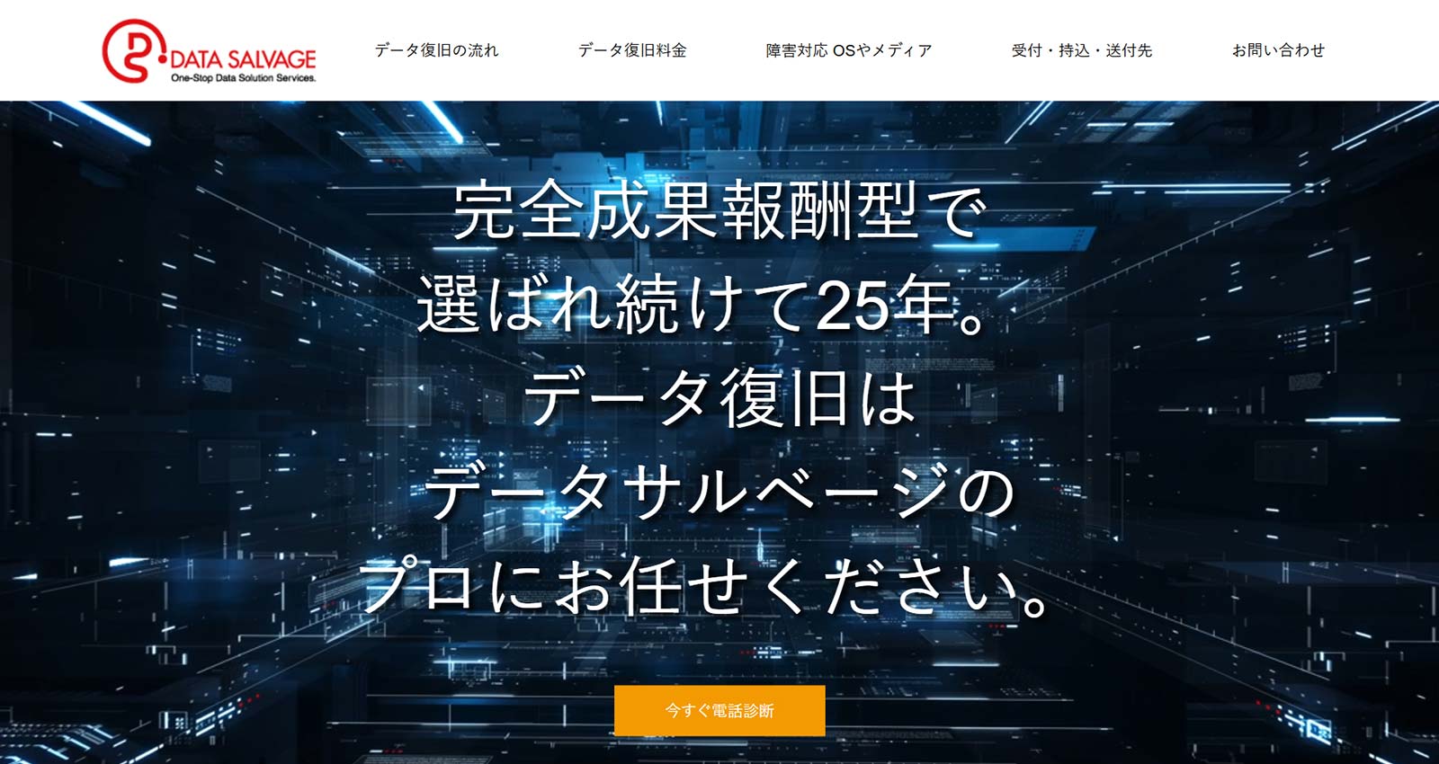 データサルベージ公式Webサイト