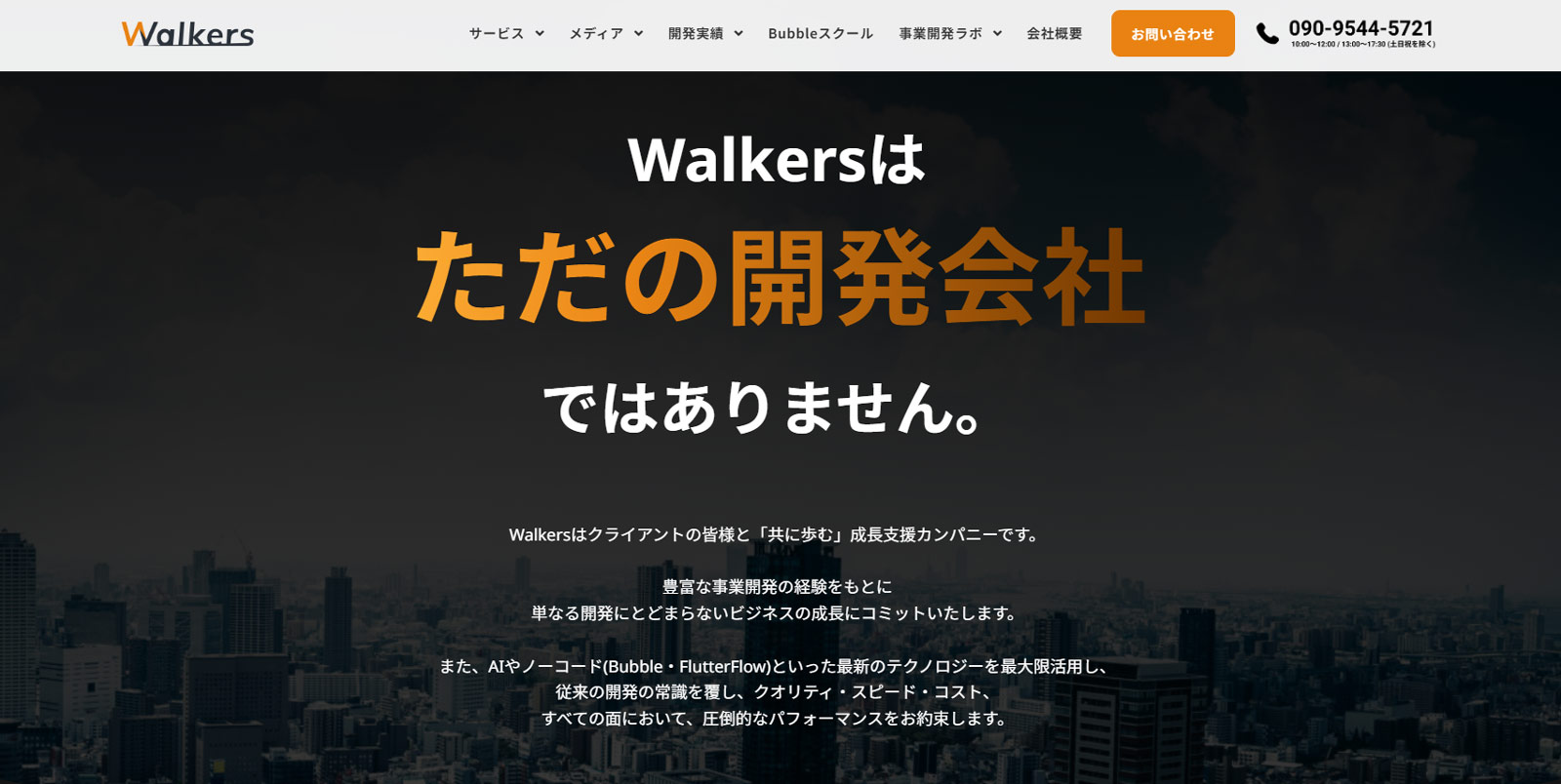 システム開発公式Webサイト