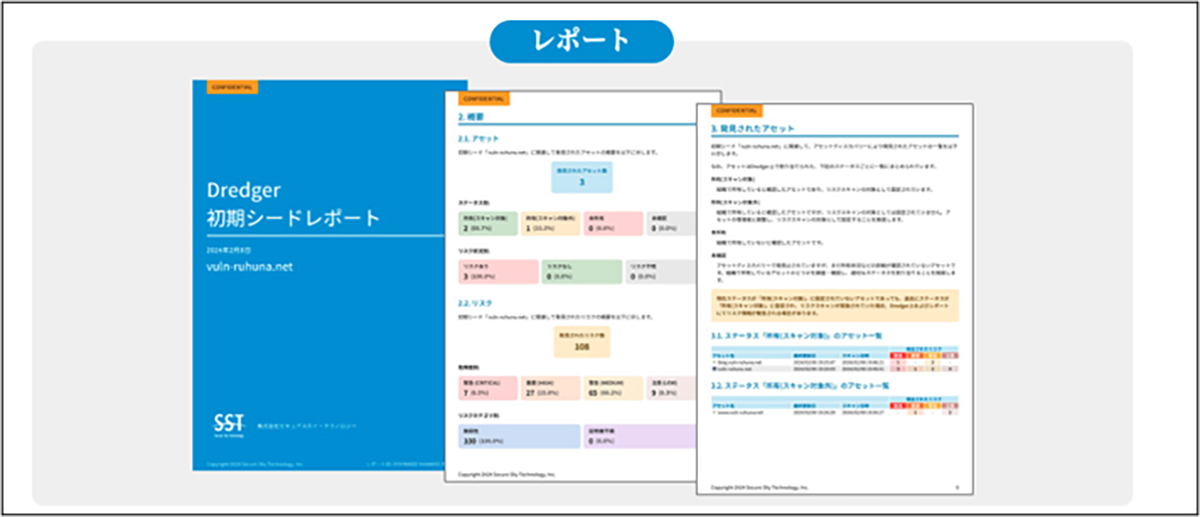 初期シード(ドメイン)や選択されたアセットについて、Dredgerにて発見・管理されているアセットおよびリスクの概要をレポートにて提供します。