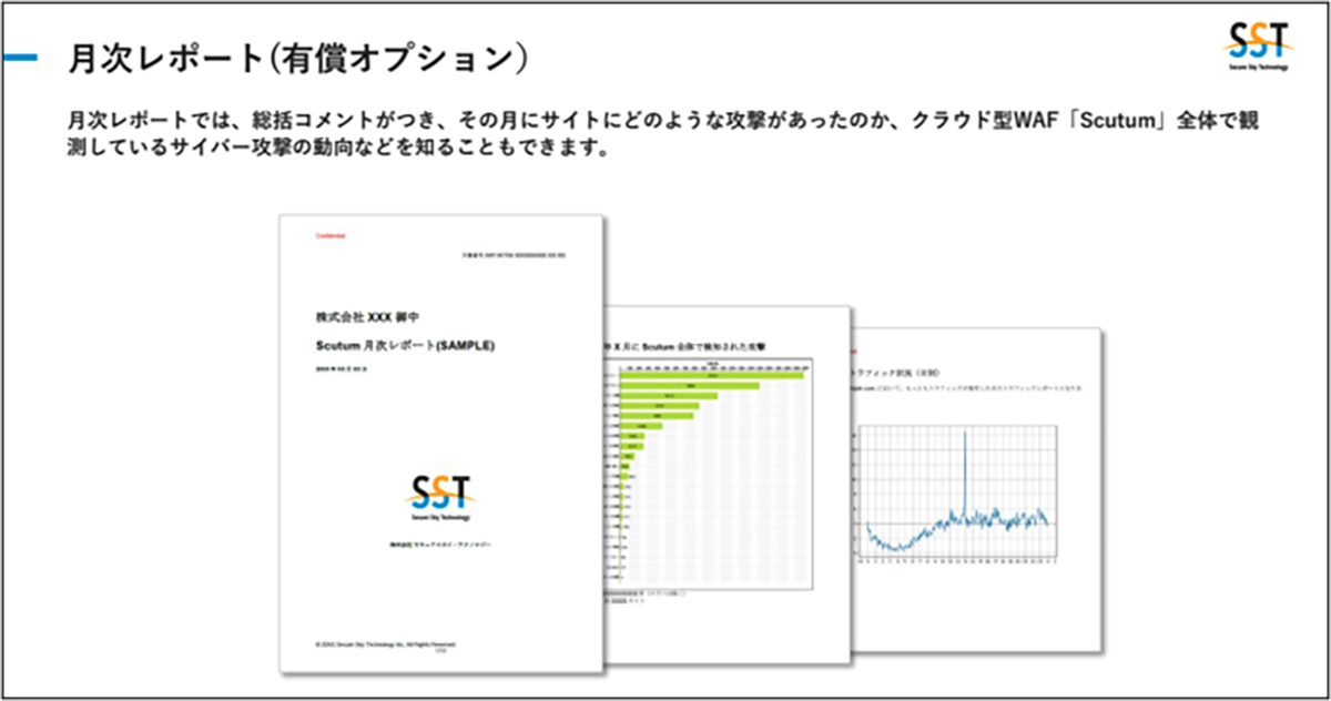 月次レポート(有償オプション)